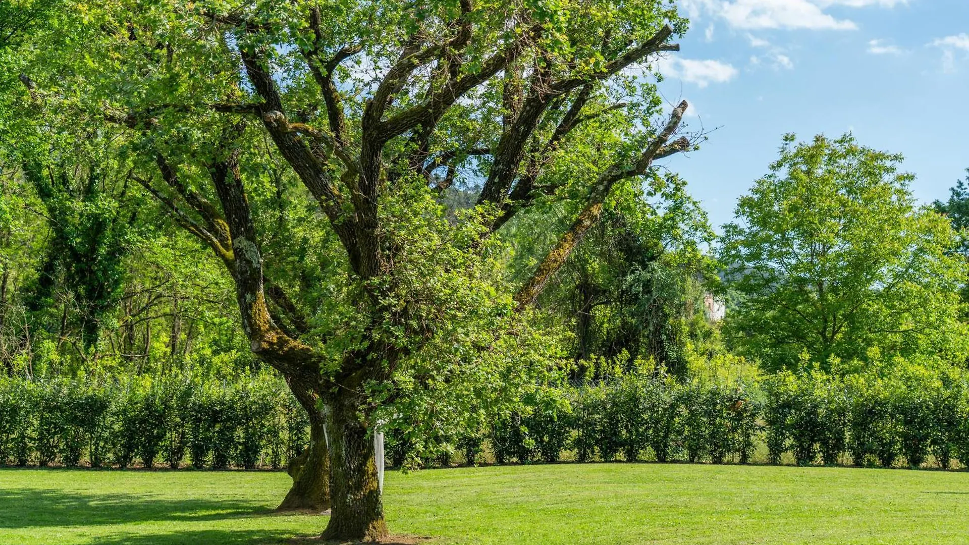 Villa Vittoria - Lusso Con Piscina, Tennis, Jacuzzi E Palestra Lucca